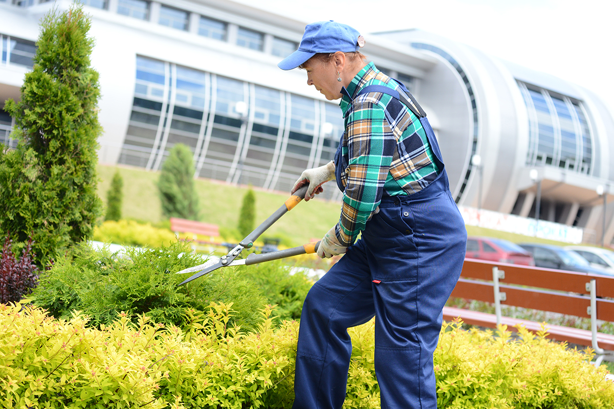 Республиканский экологический субботник